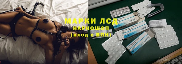 трава Беломорск