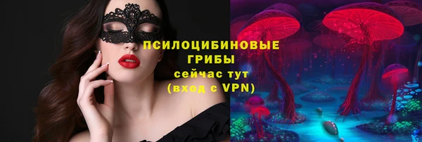 гидра Сясьстрой