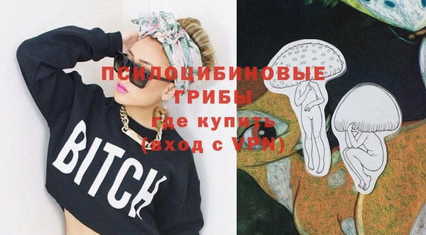 ECSTASY Белокуриха